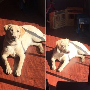 Meet your Posher, Rodolfo